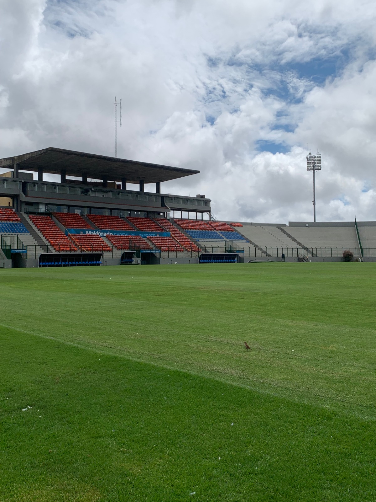 Transfer para jogos de futebol 4
