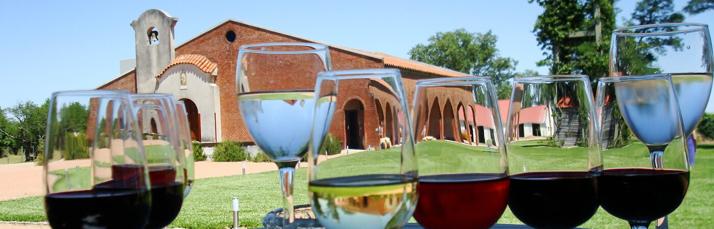 Visitas às Vinícolas